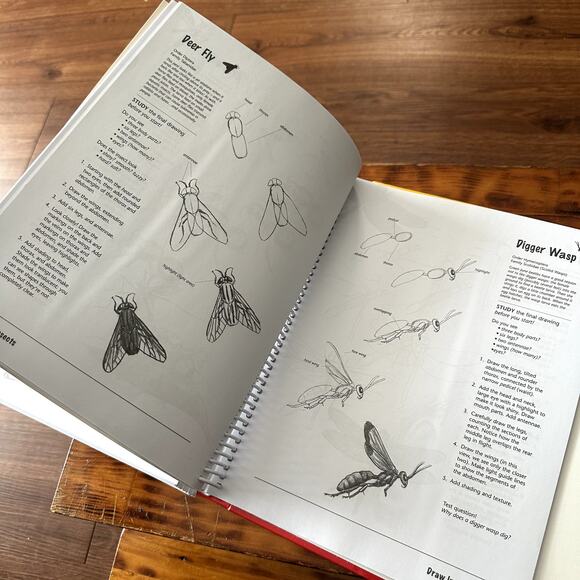 Vintage 1994 Draw Really Cool Stuff 6 Books In One Hardcover Spiral Book - Picture 10 of 15